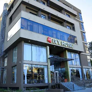 3* Hotel Ivy Airport Branch